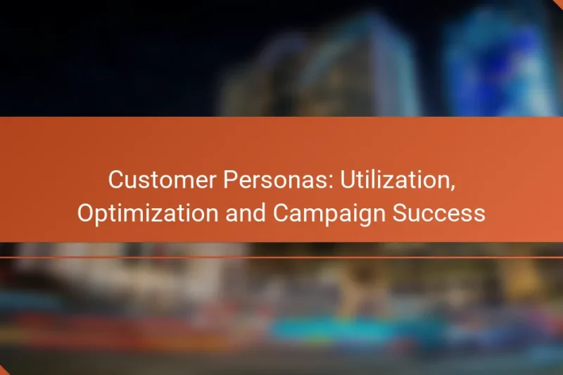 Customer Personas: Utilization, Optimization and Campaign Success