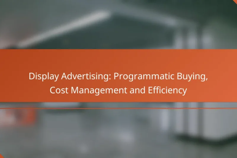 Display Advertising: Programmatic Buying, Cost Management and Efficiency
