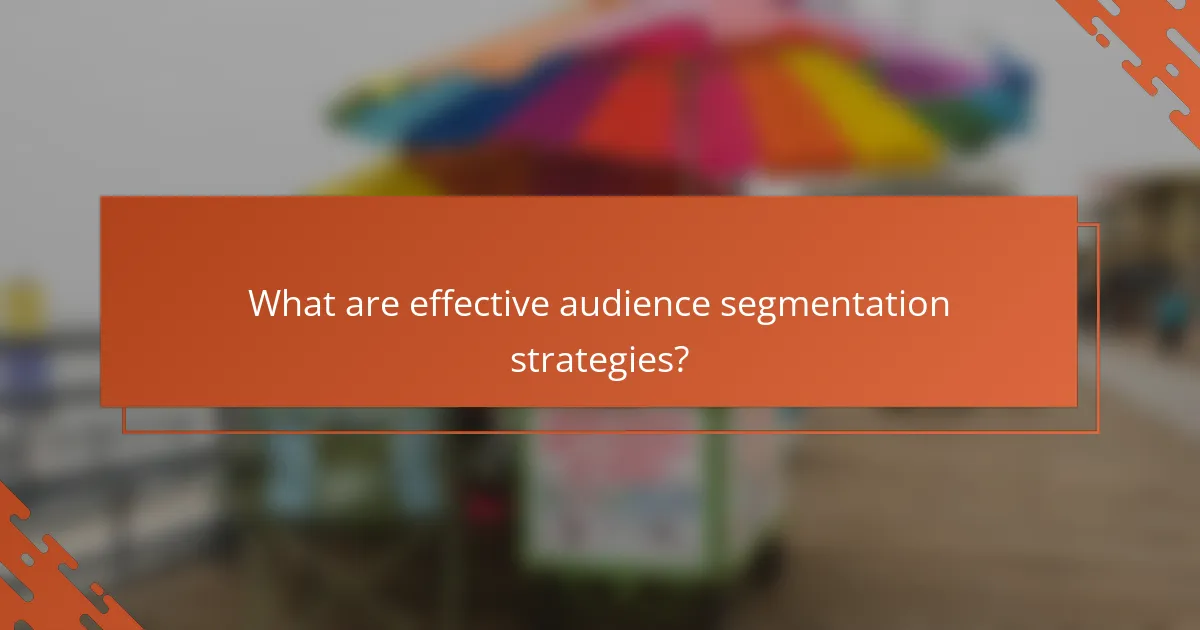 What are effective audience segmentation strategies?