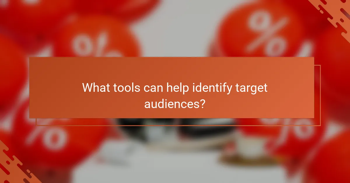 What tools can help identify target audiences?